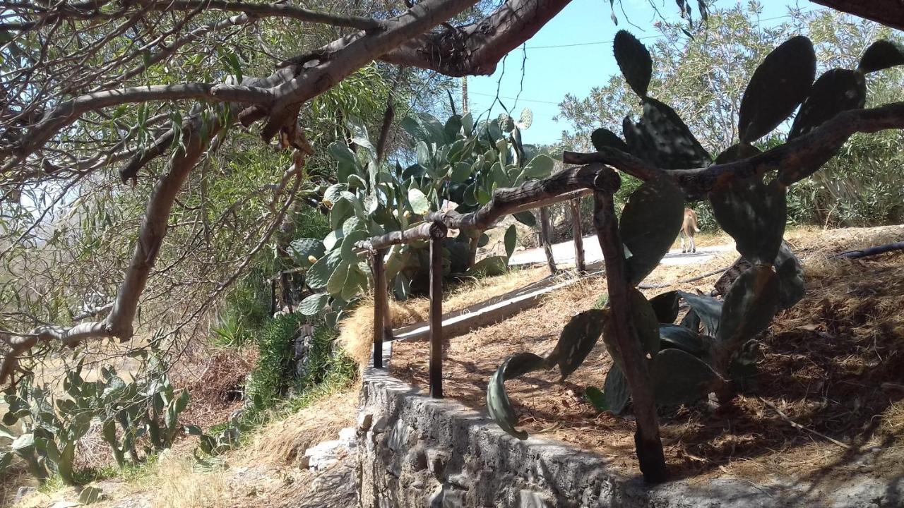 Sifis Pirounakis Anatoli Villa Léntas Exterior foto