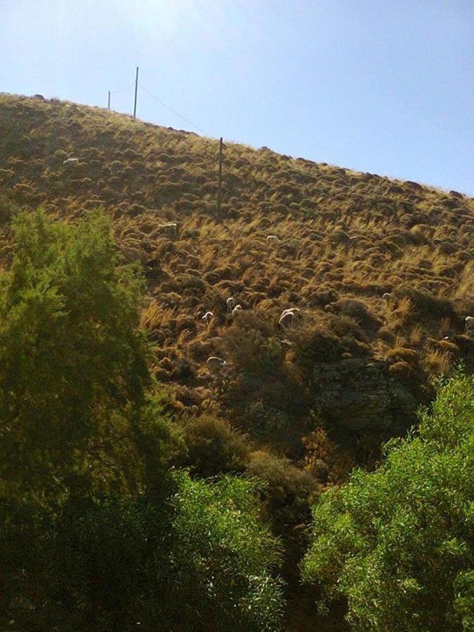 Sifis Pirounakis Anatoli Villa Léntas Exterior foto